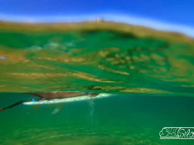 Marejada Escuela de Surf y Surfcamp en Caravia Baja (Asturias)